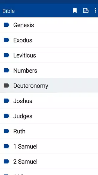 Spurgeon Bible Commentary スクリーンショット 2