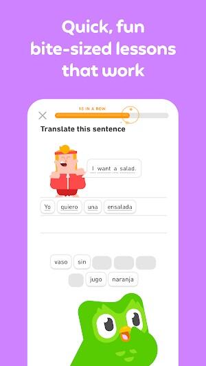 Duolingo: Language Lessons Screenshot 2