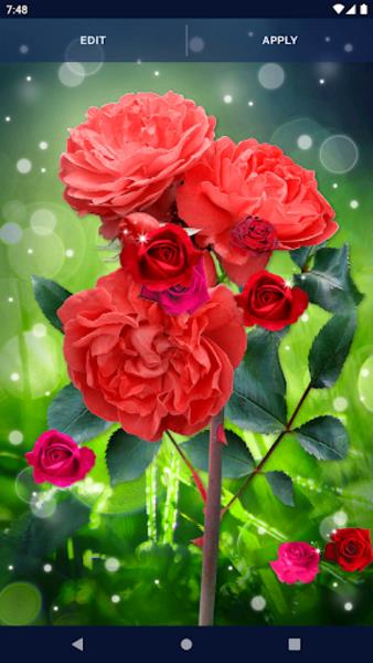 Red Rose Live Wallpaper ဖန်သားပြင်ဓာတ်ပုံ 1