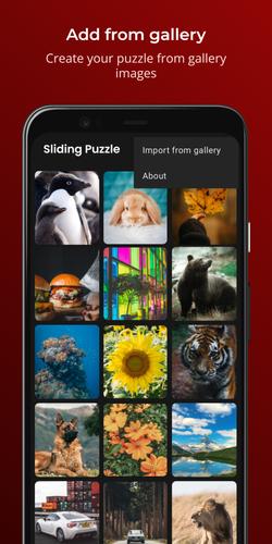 Sliding Puzzle Captura de pantalla 4