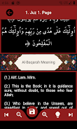 The Holy Quran and its Meaning Schermafbeelding 4