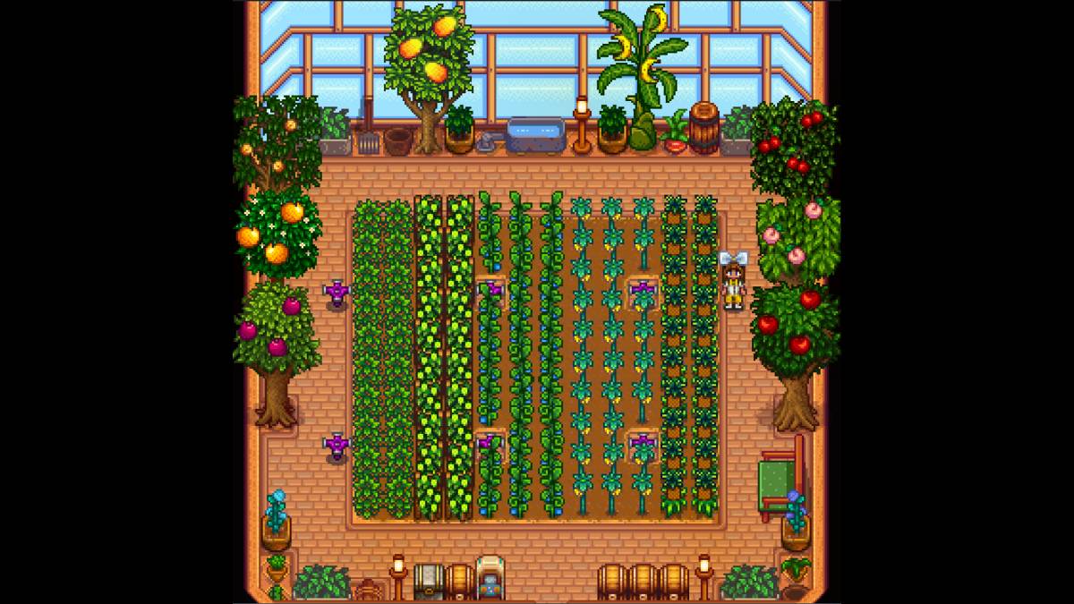 Stardew Vadisi'nde sera kapasitesi: Kaç bitki?