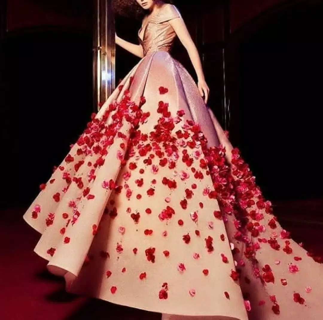 Dress Designs Capture d'écran 2