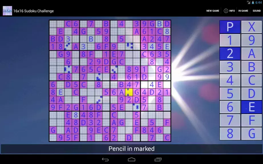 16x16 Sudoku Challenge HD Capture d'écran 3