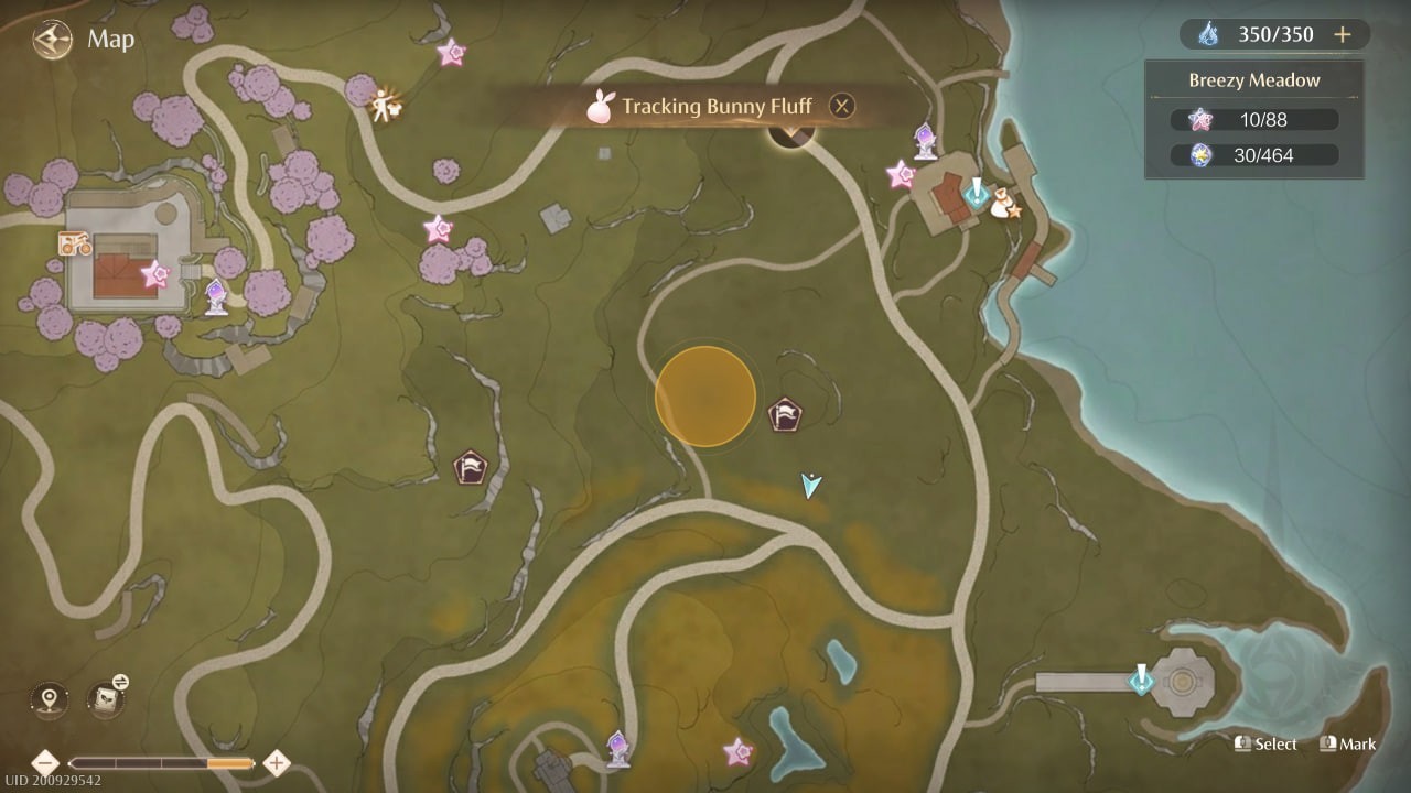 map in infinity nikki