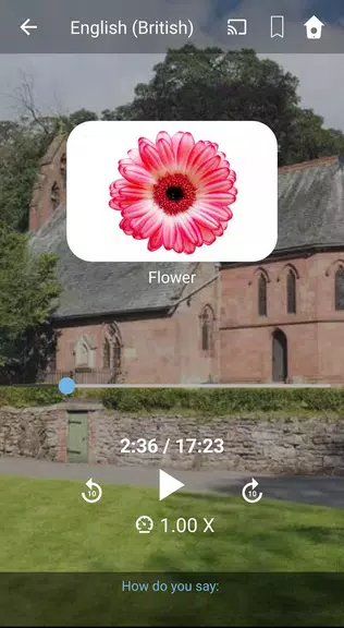 Learn British English. Speak B Скриншот 2