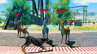 Doberman Dog Simulator Tangkapan skrin 2