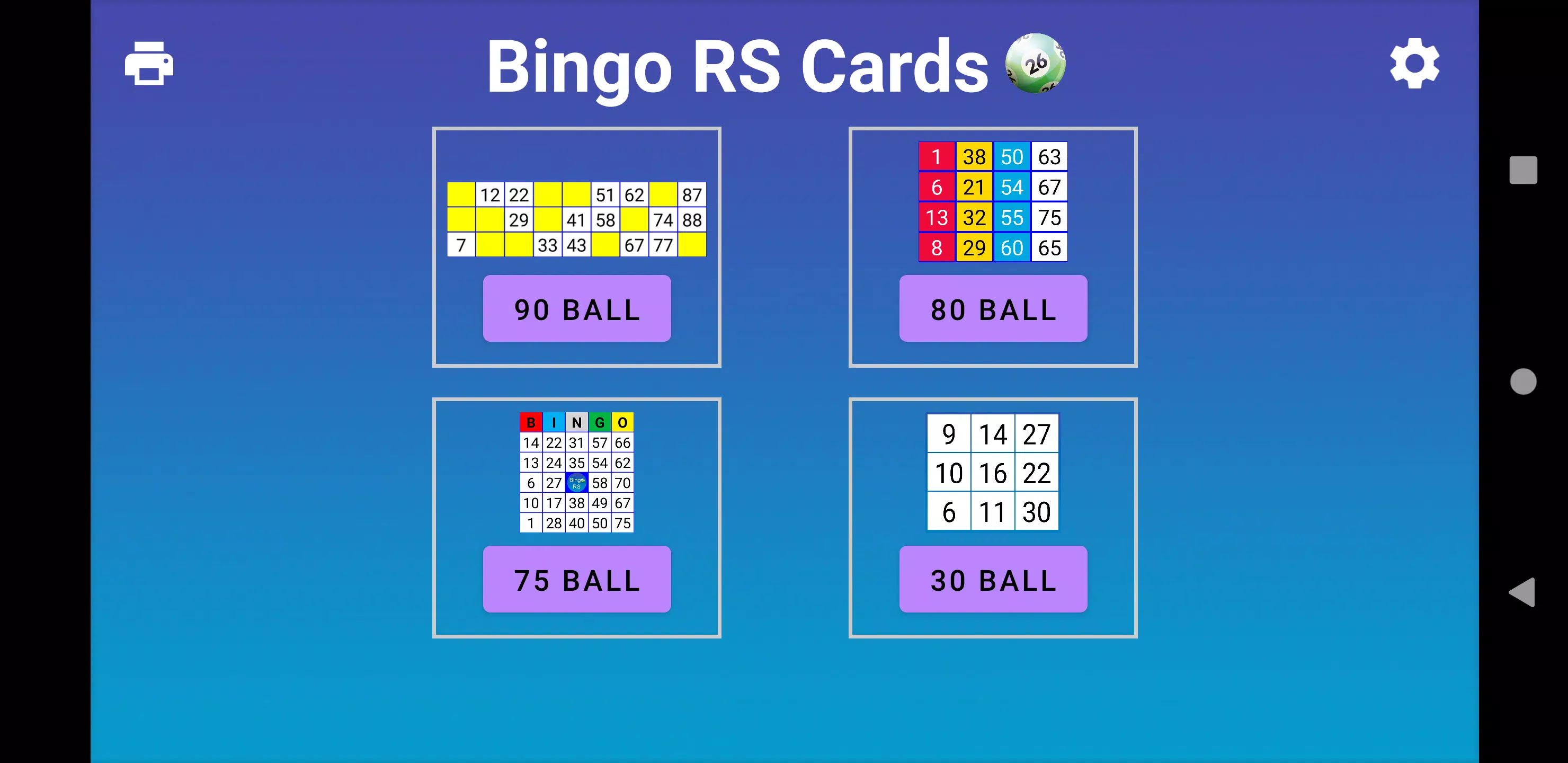 Bingo RS Cards Screenshot 1