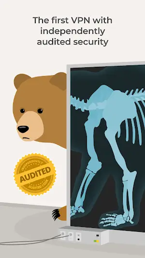 TunnelBear VPN Captura de tela 4