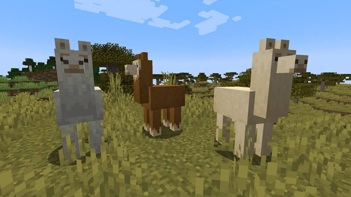 Llamas di Minecraft