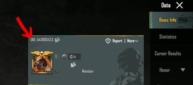 2024年10月のPUBGモバイル償還コードリスト