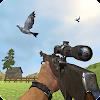 Pigeon Hunting & Shooting Game