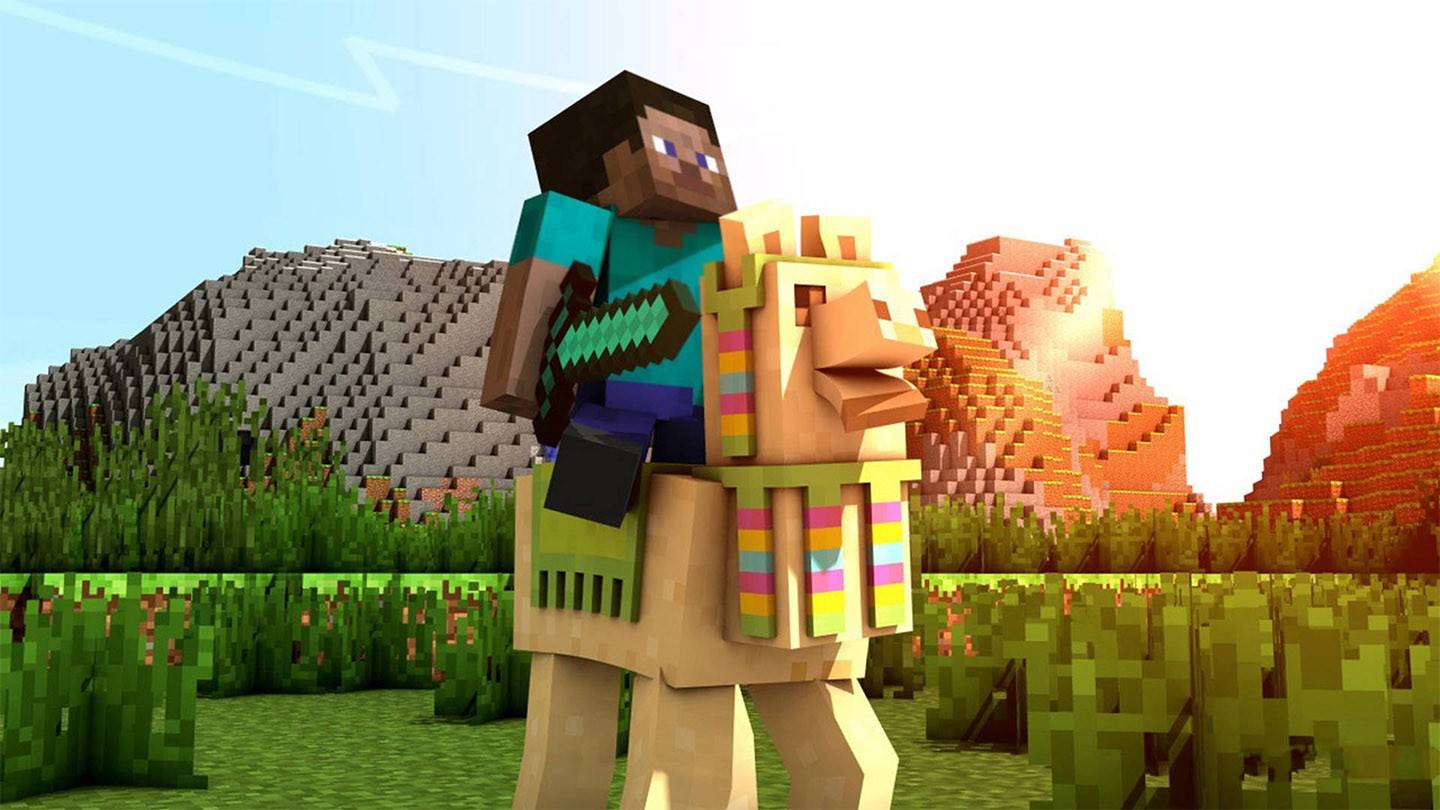 Fare amicizia con un lama: suggerimenti per renderlo il tuo compagno