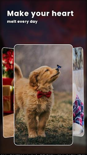 Puppy Love: Cute Dog Wallpaper Скриншот 3