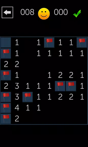 Minesweeper Fun Screenshot 1