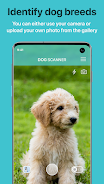 Dog Scanner: Raza del perro Captura de pantalla 1