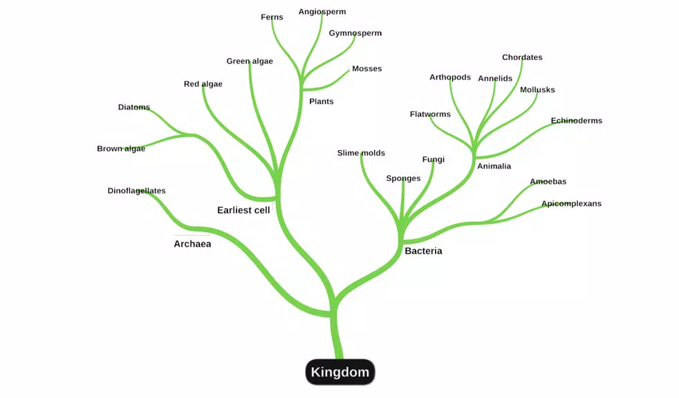 miMind - Easy Mind Mapping Ảnh chụp màn hình 2