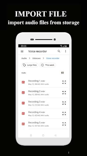 Voice Memos Zrzut ekranu 2