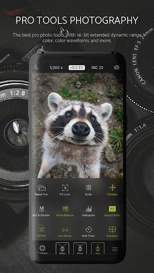 Halide Mark II Captura de tela 2