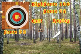 Crossbow Shooting Ảnh chụp màn hình 4