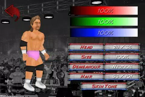 Wrestling Revolution Ekran Görüntüsü 2