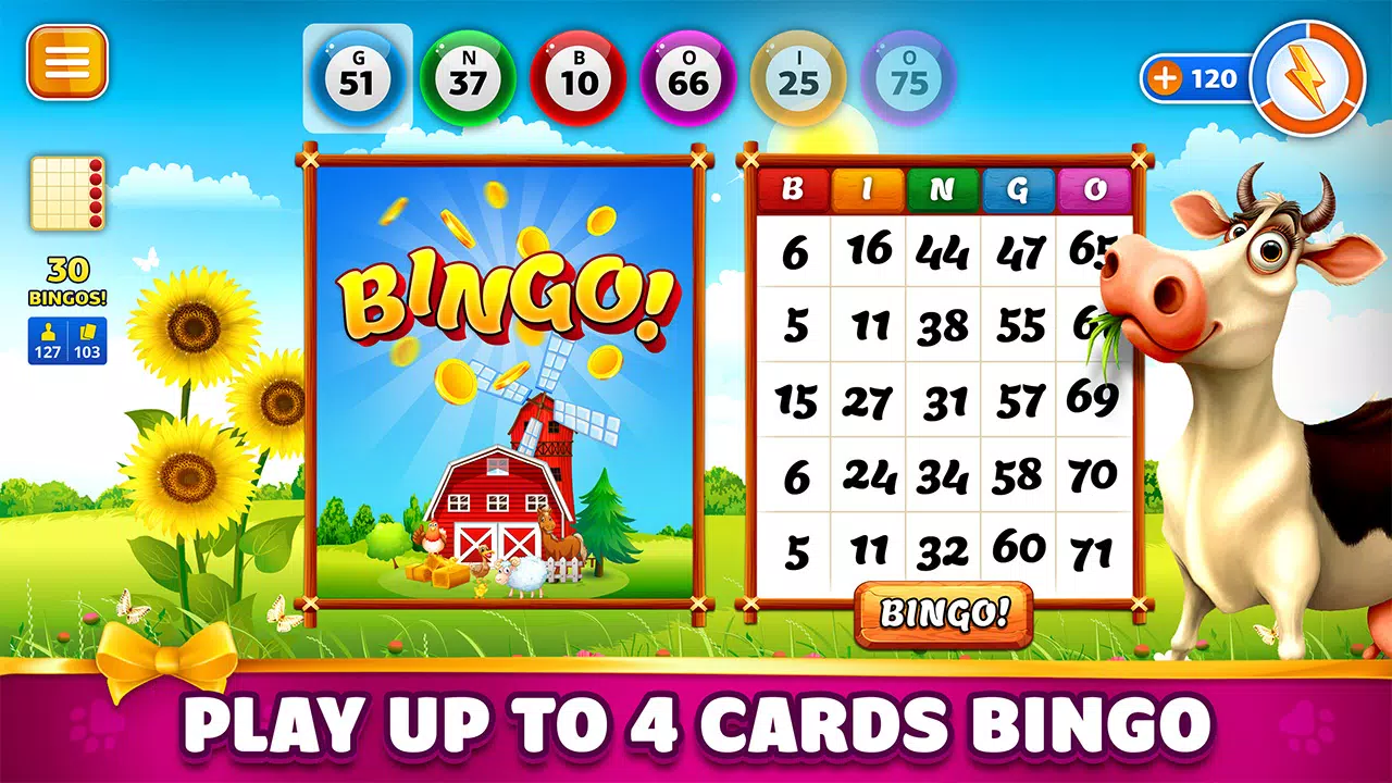 Pet Bingo: Bingo Game 2024 ภาพหน้าจอ 4