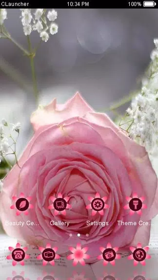 Pretty Pink Rose Theme應用截圖第3張