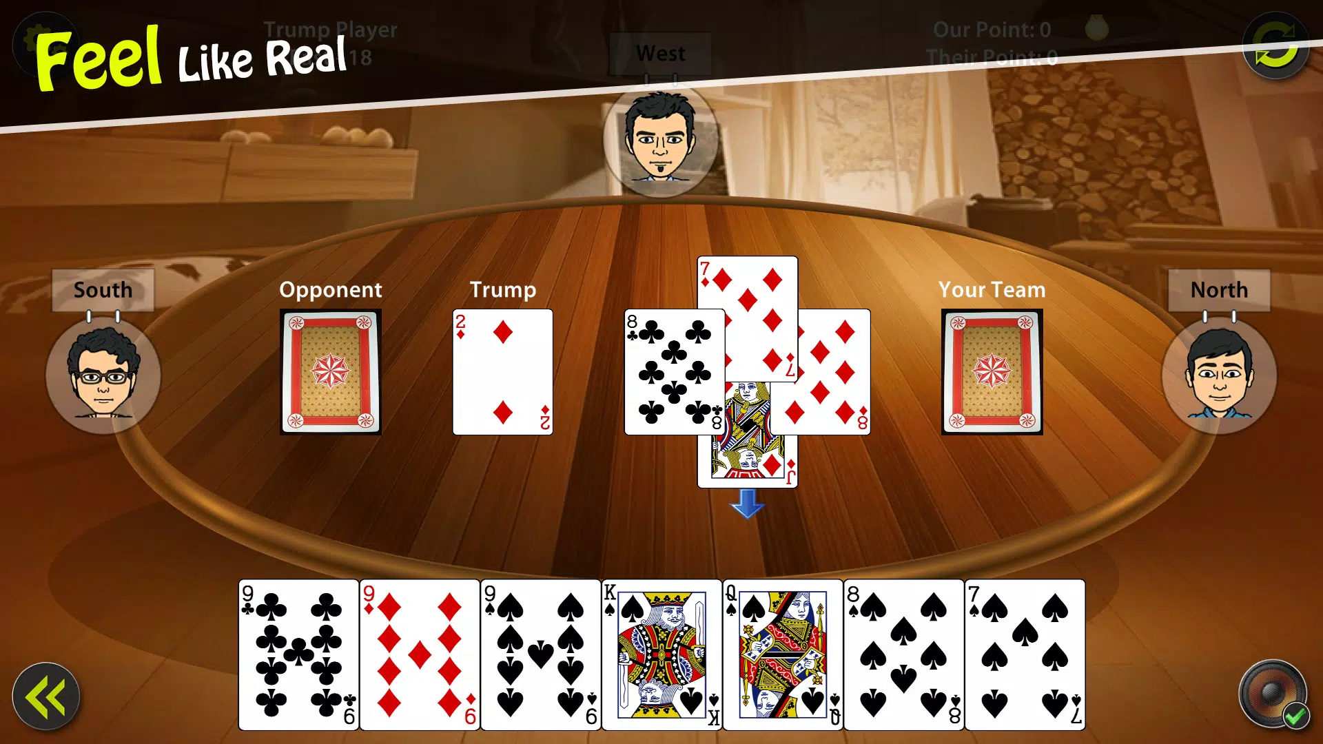 29 Card Game Screenshot 4