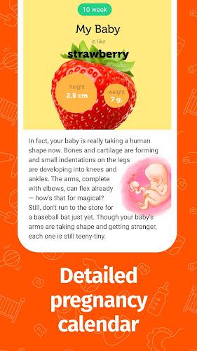 Pregnancy App and Baby Tracker ภาพหน้าจอ 3