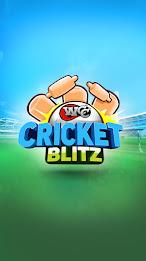 WCC Cricket Blitz স্ক্রিনশট 1