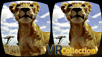 Pack of VR videos Captura de tela 3