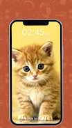 Kitty Cat Pin Lock Screen Скриншот 1