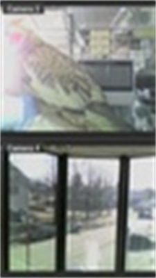 for Elro Captura de pantalla 1