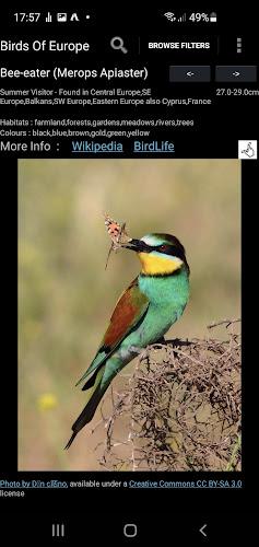 Birds Of Europe Guide ဖန်သားပြင်ဓာတ်ပုံ 3