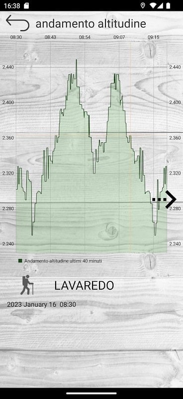 Professional altimeter Captura de pantalla 3