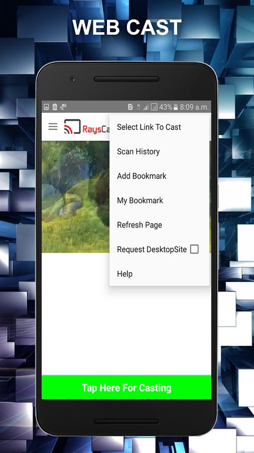 RaysCast For Chromecast Schermafbeelding 3