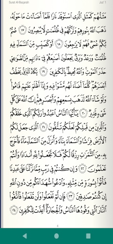 Read Listen Quran  قرآن كريم Ekran Görüntüsü 2