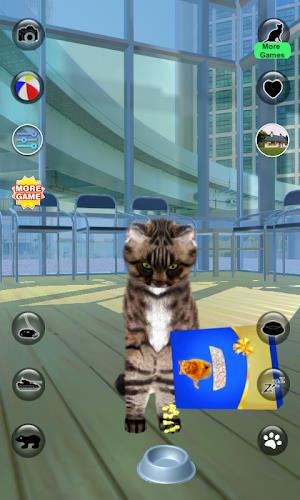 Talking Reality Cat Screenshot 3