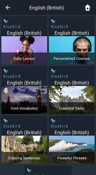 Learn British English. Speak B Скриншот 1
