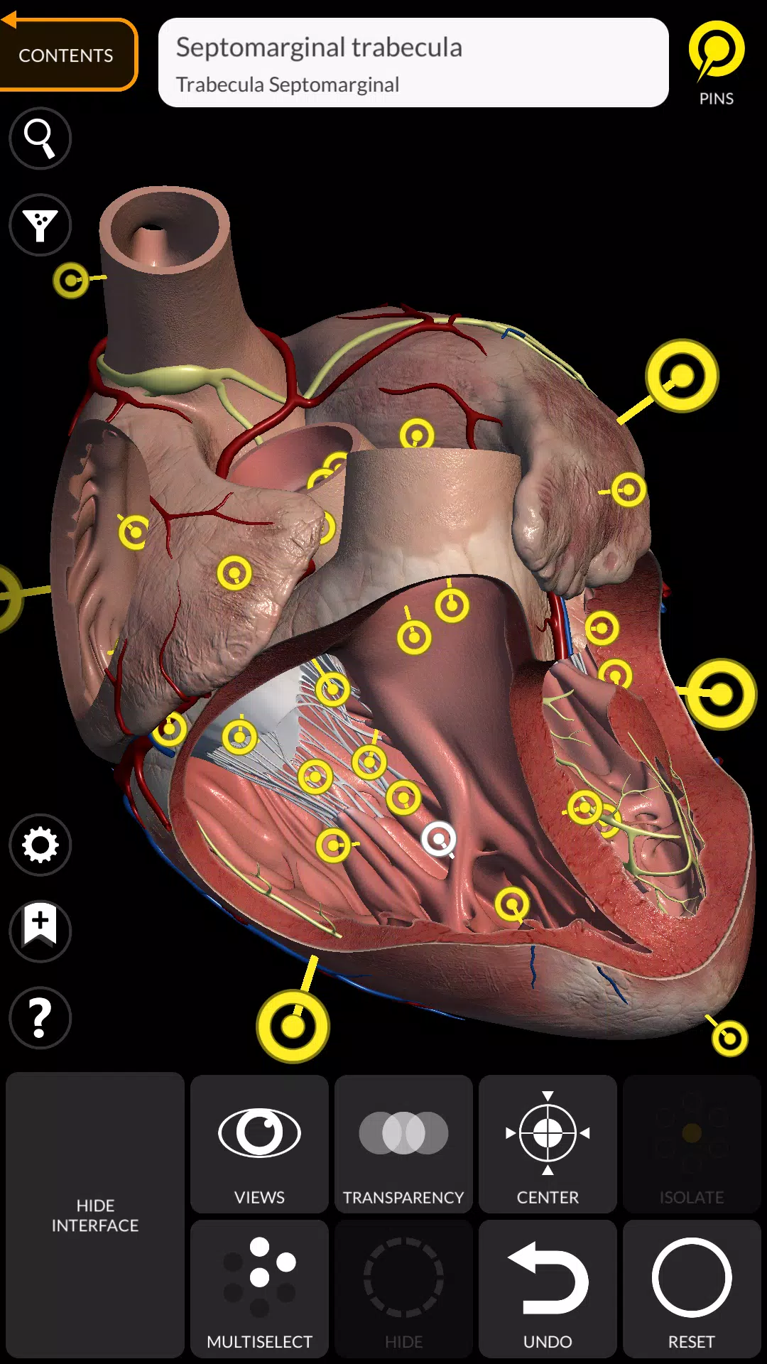 Anatomy 3D Atlas Screenshot 3