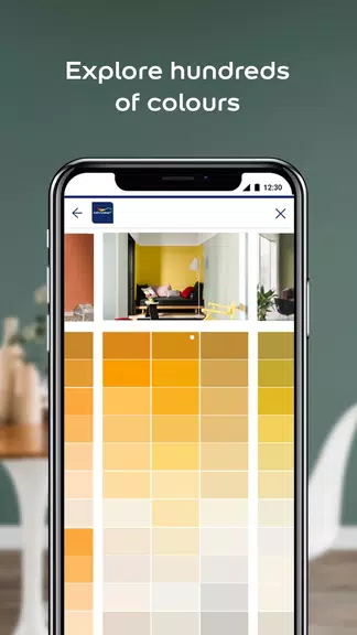 Dulux Visualizer ZA Скриншот 2
