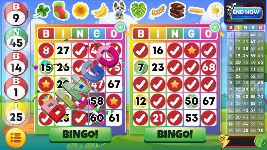 Bingo Classic Screenshot 3