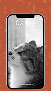 Kitty Cat Pin Lock Screen Скриншот 4