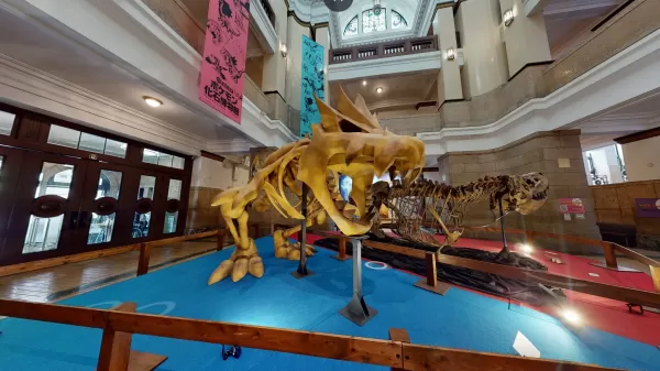 Museo fossile Pokémon per mostrare fossili reali e falsi negli Stati Uniti il ​​prossimo anno