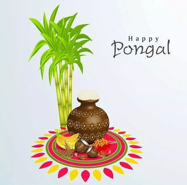 Happy Pongal Wishes Ekran Görüntüsü 2