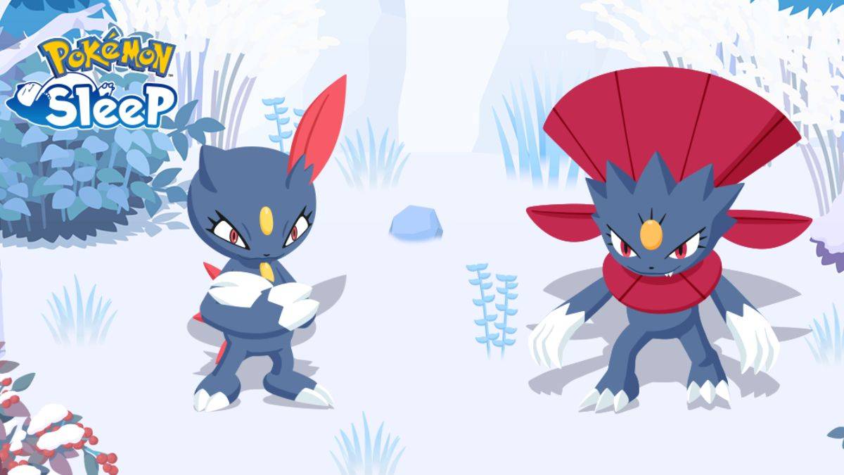 How To Get Sneasel and Weavile in Pokemon Sleep