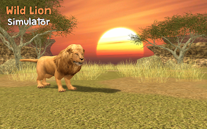 Wild Lion Simulator 3D應用截圖第1張