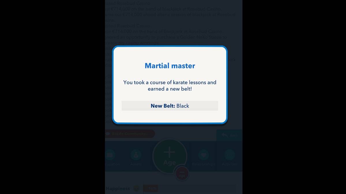 Bitlife Black Belt kiếm được
