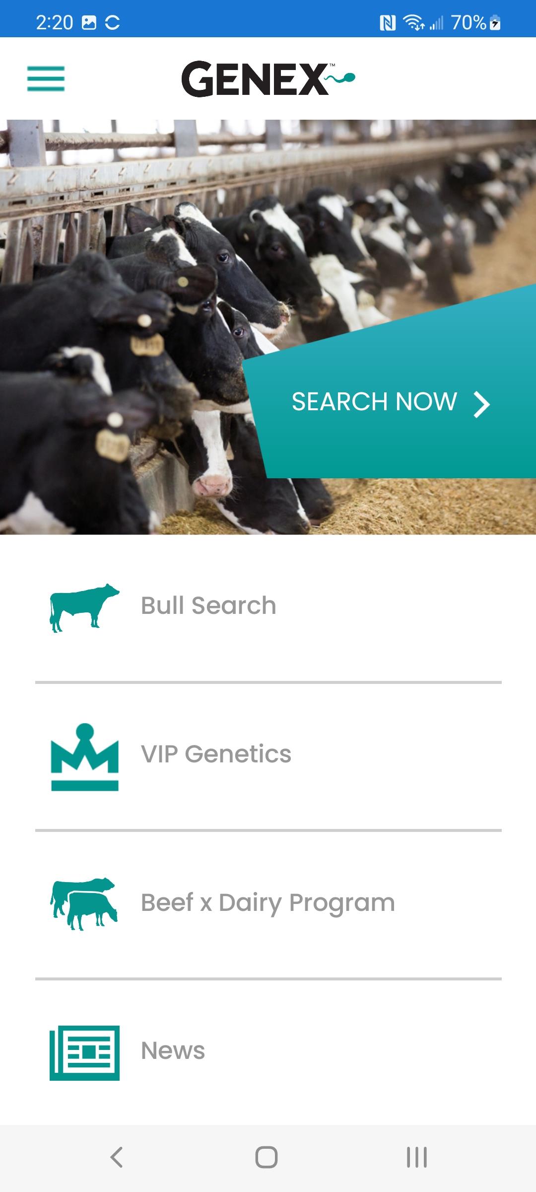 Bull Search Screenshot 1