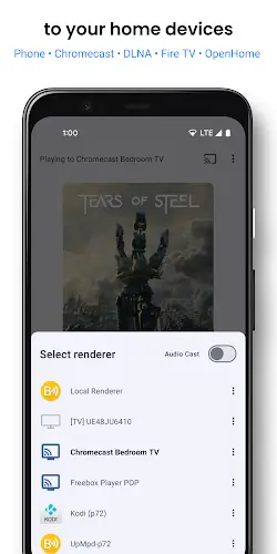 BubbleUPnP For DLNA/Chromecast Screenshot 2